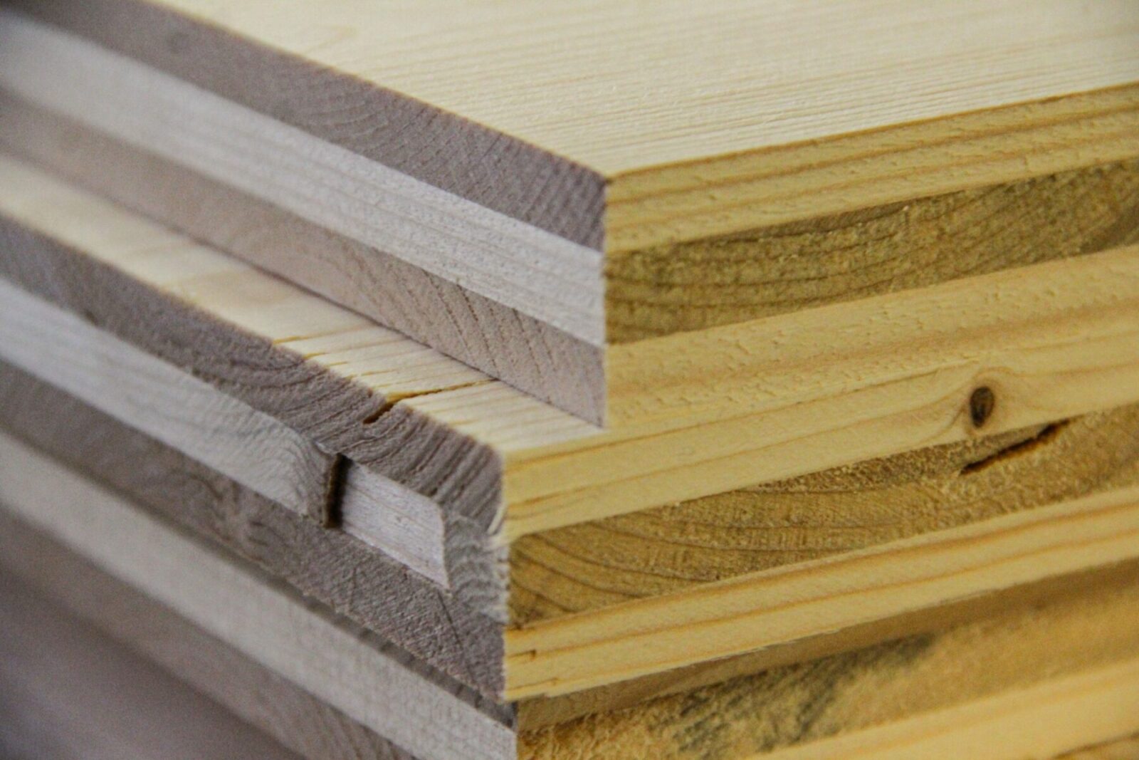 Piles de planches de bois, Volets Guignard